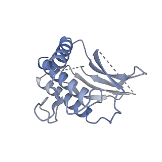 21108_6v8p_D_v1-3
Structure of DNA Polymerase Zeta (Apo)