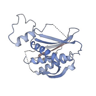 21108_6v8p_E_v1-2
Structure of DNA Polymerase Zeta (Apo)