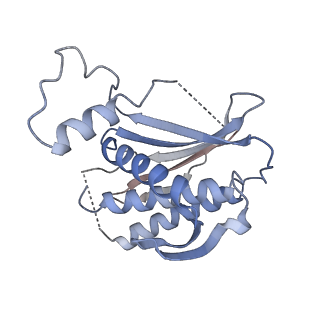 21108_6v8p_E_v1-3
Structure of DNA Polymerase Zeta (Apo)