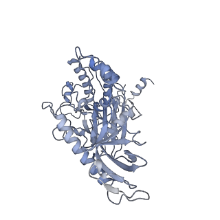 21108_6v8p_F_v1-2
Structure of DNA Polymerase Zeta (Apo)