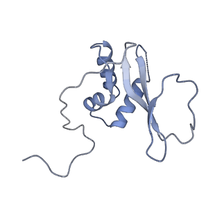 21108_6v8p_G_v1-2
Structure of DNA Polymerase Zeta (Apo)