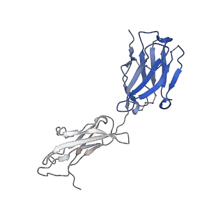 21111_6v8x_C_v1-1
VRC01 Bound BG505 F14 HIV-1 SOSIP Envelope Trimer Structure