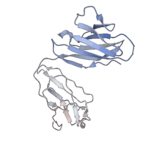 21111_6v8x_D_v1-1
VRC01 Bound BG505 F14 HIV-1 SOSIP Envelope Trimer Structure