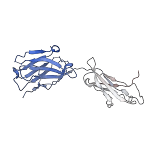 21111_6v8x_G_v1-1
VRC01 Bound BG505 F14 HIV-1 SOSIP Envelope Trimer Structure