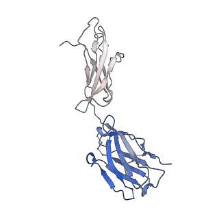 21111_6v8x_K_v1-1
VRC01 Bound BG505 F14 HIV-1 SOSIP Envelope Trimer Structure