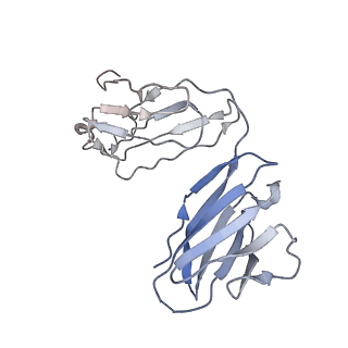 21111_6v8x_L_v1-1
VRC01 Bound BG505 F14 HIV-1 SOSIP Envelope Trimer Structure