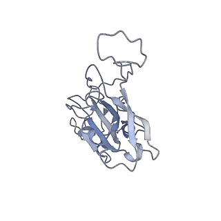 31785_7v80_A_v1-0
Local refinement of SARS-CoV-2 S-Beta variant (B.1.351) RBD and Angiotensin-converting enzyme 2 (ACE2) ectodomain