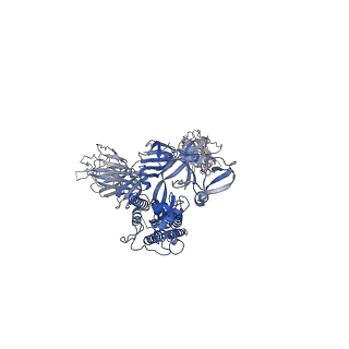 31786_7v81_A_v1-0
Cryo-EM structure of SARS-CoV-2 S-Gamma variant (P.1) in complex with Angiotensin-converting enzyme 2 (ACE2) ectodomain, two ACE2-bound form
