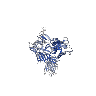 31786_7v81_C_v1-0
Cryo-EM structure of SARS-CoV-2 S-Gamma variant (P.1) in complex with Angiotensin-converting enzyme 2 (ACE2) ectodomain, two ACE2-bound form