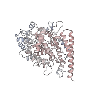 31786_7v81_D_v1-0
Cryo-EM structure of SARS-CoV-2 S-Gamma variant (P.1) in complex with Angiotensin-converting enzyme 2 (ACE2) ectodomain, two ACE2-bound form