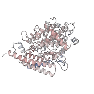 31786_7v81_E_v1-0
Cryo-EM structure of SARS-CoV-2 S-Gamma variant (P.1) in complex with Angiotensin-converting enzyme 2 (ACE2) ectodomain, two ACE2-bound form