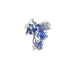 31787_7v82_A_v1-0
Cryo-EM structure of SARS-CoV-2 S-Gamma variant (P.1) in complex with Angiotensin-converting enzyme 2 (ACE2) ectodomain, three ACE2-bound form conformation 1
