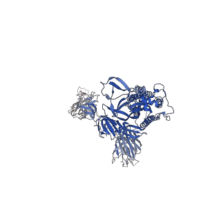 31787_7v82_B_v1-0
Cryo-EM structure of SARS-CoV-2 S-Gamma variant (P.1) in complex with Angiotensin-converting enzyme 2 (ACE2) ectodomain, three ACE2-bound form conformation 1