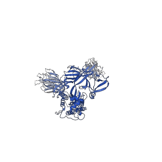31787_7v82_C_v1-0
Cryo-EM structure of SARS-CoV-2 S-Gamma variant (P.1) in complex with Angiotensin-converting enzyme 2 (ACE2) ectodomain, three ACE2-bound form conformation 1