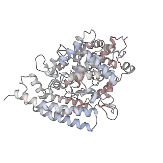 31787_7v82_D_v1-0
Cryo-EM structure of SARS-CoV-2 S-Gamma variant (P.1) in complex with Angiotensin-converting enzyme 2 (ACE2) ectodomain, three ACE2-bound form conformation 1
