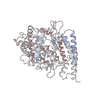 31787_7v82_F_v1-0
Cryo-EM structure of SARS-CoV-2 S-Gamma variant (P.1) in complex with Angiotensin-converting enzyme 2 (ACE2) ectodomain, three ACE2-bound form conformation 1