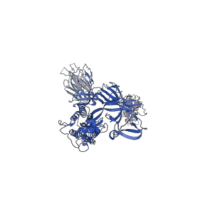 31788_7v83_C_v1-0
Cryo-EM structure of SARS-CoV-2 S-Gamma variant (P.1) in complex with Angiotensin-converting enzyme 2 (ACE2) ectodomain, three ACE2-bound form conformation 2