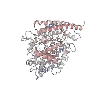 31788_7v83_E_v1-0
Cryo-EM structure of SARS-CoV-2 S-Gamma variant (P.1) in complex with Angiotensin-converting enzyme 2 (ACE2) ectodomain, three ACE2-bound form conformation 2