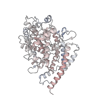 31788_7v83_F_v1-0
Cryo-EM structure of SARS-CoV-2 S-Gamma variant (P.1) in complex with Angiotensin-converting enzyme 2 (ACE2) ectodomain, three ACE2-bound form conformation 2