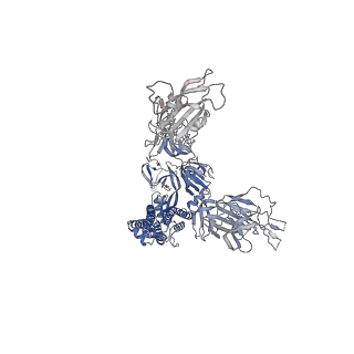 31790_7v85_A_v1-0
Cryo-EM structure of SARS-CoV-2 S-Kappa variant (B.1.617.1) in complex with Angiotensin-converting enzyme 2 (ACE2) ectodomain, two ACE2-bound form