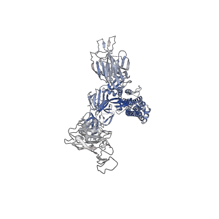 31790_7v85_B_v1-0
Cryo-EM structure of SARS-CoV-2 S-Kappa variant (B.1.617.1) in complex with Angiotensin-converting enzyme 2 (ACE2) ectodomain, two ACE2-bound form
