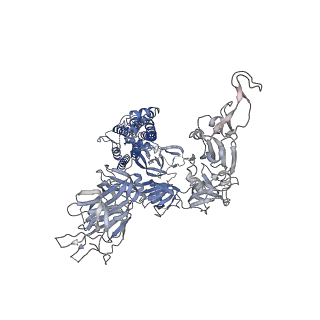 31790_7v85_C_v1-0
Cryo-EM structure of SARS-CoV-2 S-Kappa variant (B.1.617.1) in complex with Angiotensin-converting enzyme 2 (ACE2) ectodomain, two ACE2-bound form