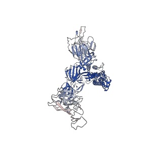 31791_7v86_A_v1-0
Cryo-EM structure of SARS-CoV-2 S-Kappa variant (B.1.617.1) in complex with Angiotensin-converting enzyme 2 (ACE2) ectodomain, three ACE2-bound form