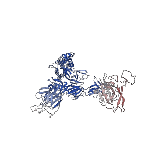 31791_7v86_B_v1-0
Cryo-EM structure of SARS-CoV-2 S-Kappa variant (B.1.617.1) in complex with Angiotensin-converting enzyme 2 (ACE2) ectodomain, three ACE2-bound form