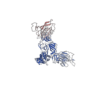 31791_7v86_C_v1-0
Cryo-EM structure of SARS-CoV-2 S-Kappa variant (B.1.617.1) in complex with Angiotensin-converting enzyme 2 (ACE2) ectodomain, three ACE2-bound form