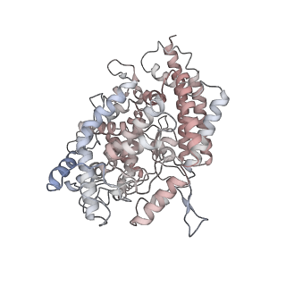 31791_7v86_G_v1-0
Cryo-EM structure of SARS-CoV-2 S-Kappa variant (B.1.617.1) in complex with Angiotensin-converting enzyme 2 (ACE2) ectodomain, three ACE2-bound form
