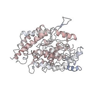 31791_7v86_H_v1-0
Cryo-EM structure of SARS-CoV-2 S-Kappa variant (B.1.617.1) in complex with Angiotensin-converting enzyme 2 (ACE2) ectodomain, three ACE2-bound form
