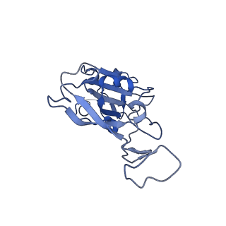 31792_7v87_A_v1-0
Local refinement of SARS-CoV-2 S-Kappa variant (B.1.617.1) RBD and Angiotensin-converting enzyme 2 (ACE2) ectodomain