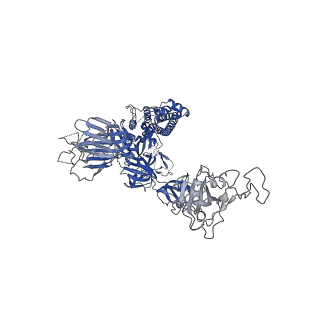 31793_7v88_A_v1-0
Cryo-EM structure of SARS-CoV-2 S-Delta variant (B.1.617.2) in complex with Angiotensin-converting enzyme 2 (ACE2) ectodomain, two ACE2-bound form