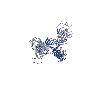 31793_7v88_C_v1-0
Cryo-EM structure of SARS-CoV-2 S-Delta variant (B.1.617.2) in complex with Angiotensin-converting enzyme 2 (ACE2) ectodomain, two ACE2-bound form