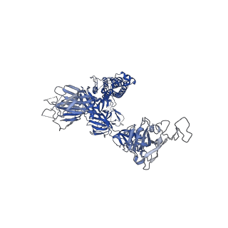 31794_7v89_A_v1-0
Cryo-EM structure of SARS-CoV-2 S-Delta variant (B.1.617.2) in complex with Angiotensin-converting enzyme 2 (ACE2) ectodomain, three ACE2-bound form conformation 1