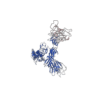 31794_7v89_B_v1-0
Cryo-EM structure of SARS-CoV-2 S-Delta variant (B.1.617.2) in complex with Angiotensin-converting enzyme 2 (ACE2) ectodomain, three ACE2-bound form conformation 1