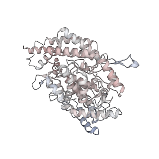 31794_7v89_G_v1-0
Cryo-EM structure of SARS-CoV-2 S-Delta variant (B.1.617.2) in complex with Angiotensin-converting enzyme 2 (ACE2) ectodomain, three ACE2-bound form conformation 1