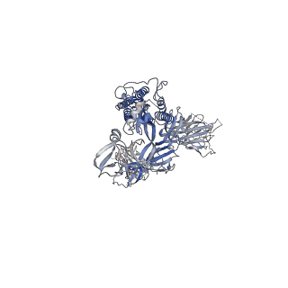 31798_7v8c_A_v1-0
Cryo-EM structure of SARS-CoV-2 S-Beta variant (B.1.351), Cleavable form, one RBD-up conformation
