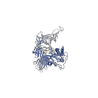 31798_7v8c_B_v1-0
Cryo-EM structure of SARS-CoV-2 S-Beta variant (B.1.351), Cleavable form, one RBD-up conformation