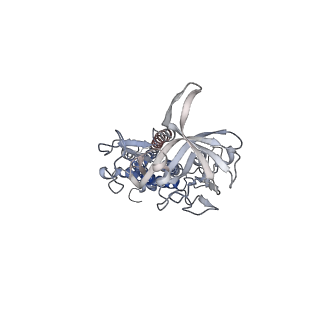 31802_7v8i_C_v1-1
LolCD(E171Q)E with bound AMPPNP in nanodiscs