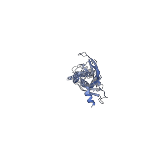 43015_8v82_A_v1-3
Alpha7-nicotinic acetylcholine receptor bound to epibatidine and PNU-120596