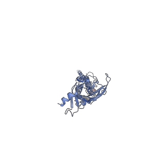 43015_8v82_E_v1-3
Alpha7-nicotinic acetylcholine receptor bound to epibatidine and PNU-120596