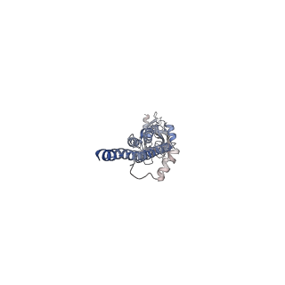 43031_8v89_C_v1-3
Alpha7-nicotinic acetylcholine receptor time resolved resting state