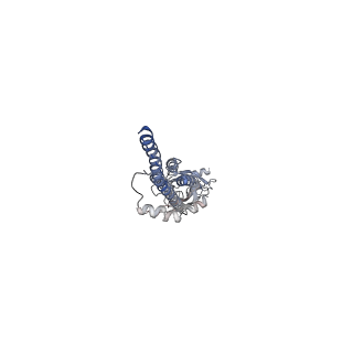 43031_8v89_D_v1-3
Alpha7-nicotinic acetylcholine receptor time resolved resting state