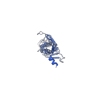 43034_8v8c_A_v1-3
Alpha7-nicotinic acetylcholine receptor time resolved bound to epibatidine and PNU-120596 asymmetric state 1