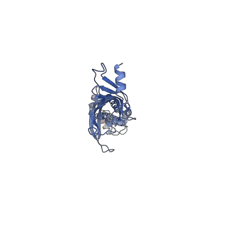 43034_8v8c_C_v1-3
Alpha7-nicotinic acetylcholine receptor time resolved bound to epibatidine and PNU-120596 asymmetric state 1