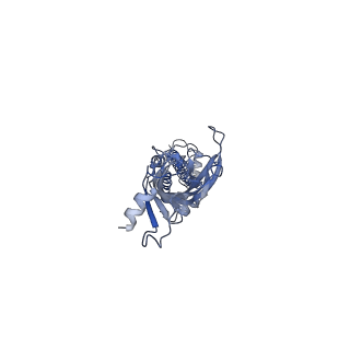 43034_8v8c_E_v1-3
Alpha7-nicotinic acetylcholine receptor time resolved bound to epibatidine and PNU-120596 asymmetric state 1