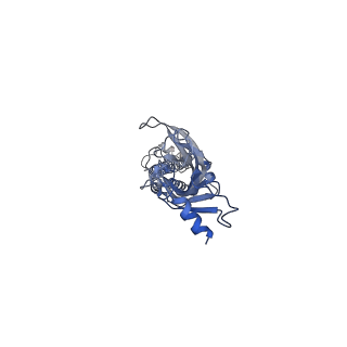 43035_8v8d_A_v1-3
Alpha7-nicotinic acetylcholine receptor time resolved bound to epibatidine and PNU-120596 asymmetric state 2