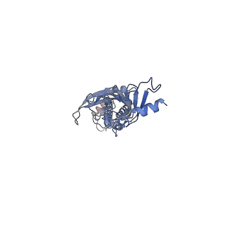 43035_8v8d_B_v1-3
Alpha7-nicotinic acetylcholine receptor time resolved bound to epibatidine and PNU-120596 asymmetric state 2