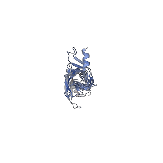 43035_8v8d_C_v1-3
Alpha7-nicotinic acetylcholine receptor time resolved bound to epibatidine and PNU-120596 asymmetric state 2